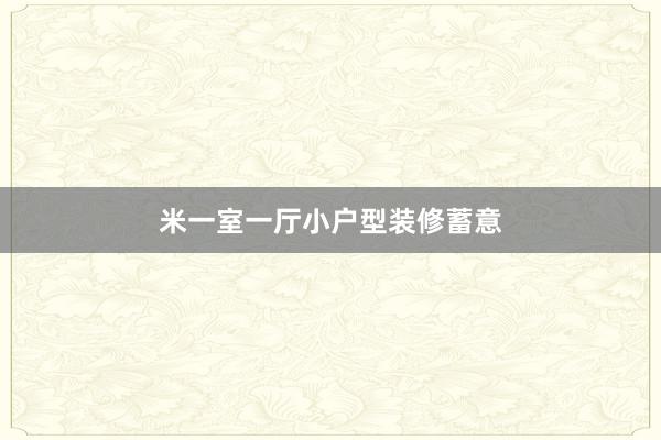 米一室一厅小户型装修蓄意