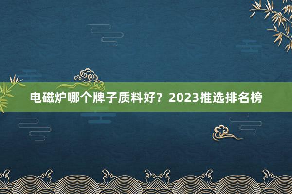 电磁炉哪个牌子质料好？2023推选排名榜