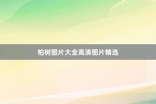 柏树图片大全高清图片精选